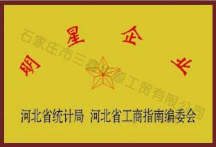 明星企業(yè)